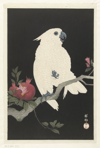 Kakadu und Granatapfel von Ohara Koson