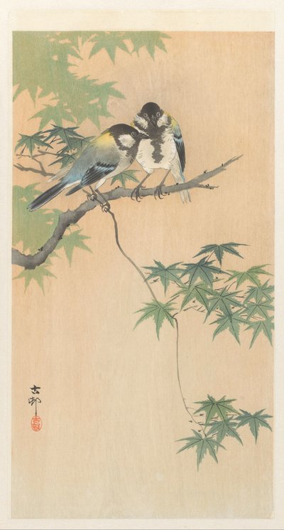 Kohlmeisen auf einem Ahornzweig von Ohara Koson