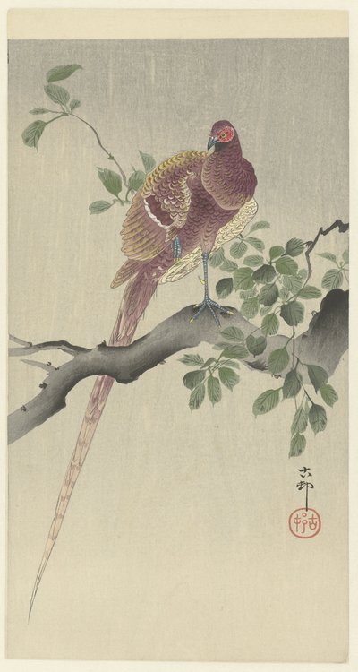 Kupferfasan von Ohara Koson