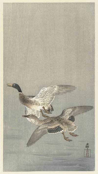 Entenpaar von Ohara Koson