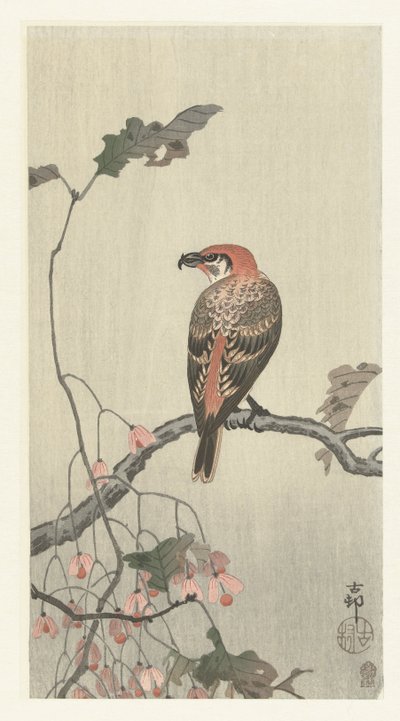 Kreuzschnabel auf einem Ast von Ohara Koson