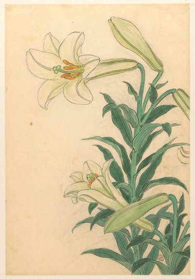 Lilien Teppoyuri von Ohara Koson