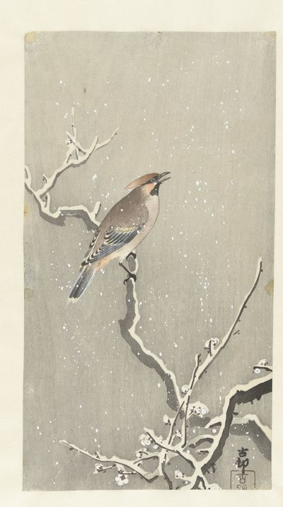 Seidenschwanz auf verschneitem Ast von Ohara Koson