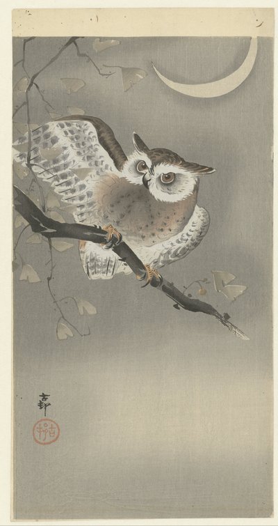 Waldohreule im Ginkgo von Ohara Koson