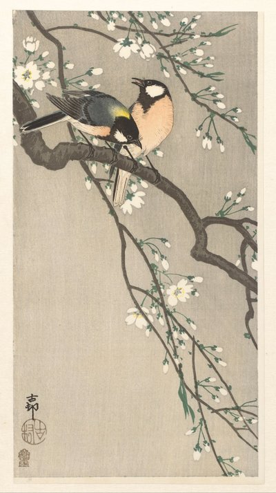 Meisen auf Kirschzweig von Ohara Koson