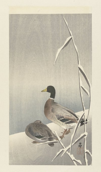 Zwei Enten auf verschneitem Schilf von Ohara Koson
