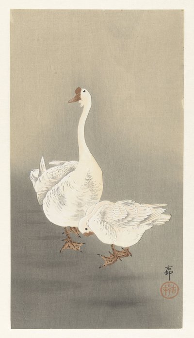 Zwei Gänse von Ohara Koson