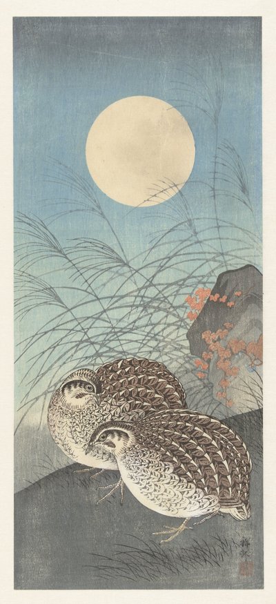 Zwei Wachteln bei Vollmond von Ohara Koson