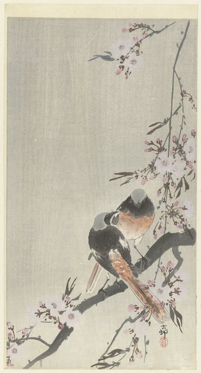 Zwei Siegelrotschwänze mit Kirschblüten von Ohara Koson