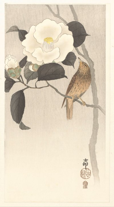 Singvogel und blühende Kamelie von Ohara Koson