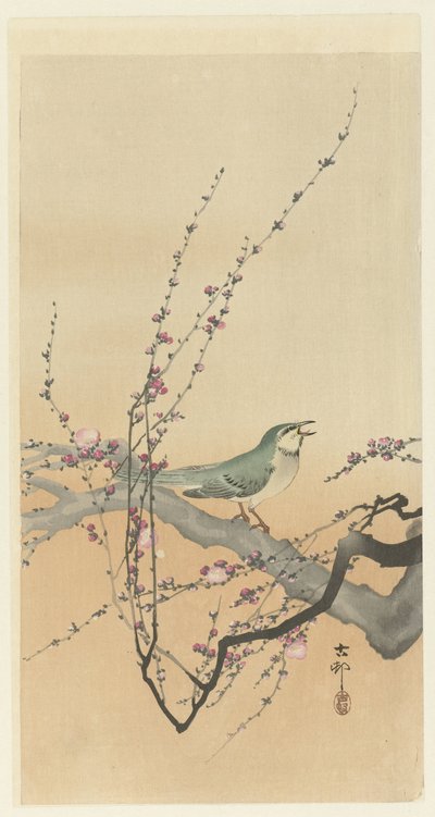 Singvogel und Pflaumenblüte von Ohara Koson