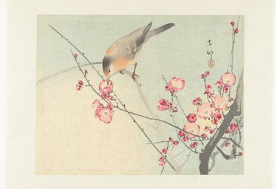 Singvogel auf einem Blütenzweig von Ohara Koson