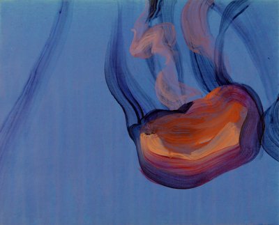 Méduses 5, 2013 von Olivier Morel