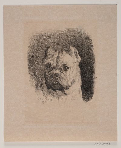 Ein Hundekopf von Otto Bache