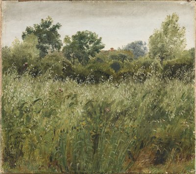 Haferfeld bei Vejby von P.C. Skovgaard