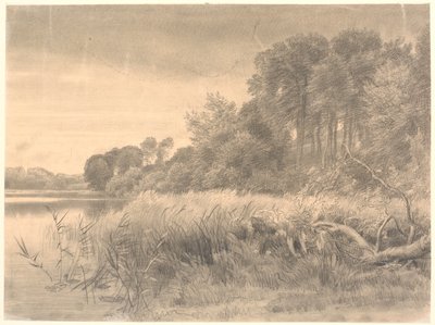 Landschaft mit einem Waldsee. Gurre-See. von P.C. Skovgaard