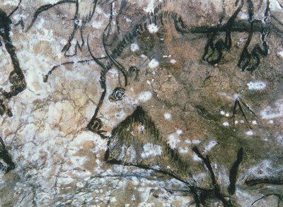 Verletzter Stier, Felsmalerei, Magdalénien von Paleolithic Paleolithic