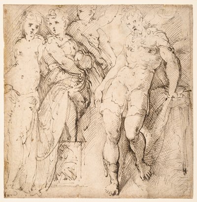 Vier Figurenstudien (recto) von Parmigianino