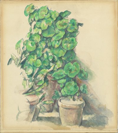 Geranien von Paul Cézanne