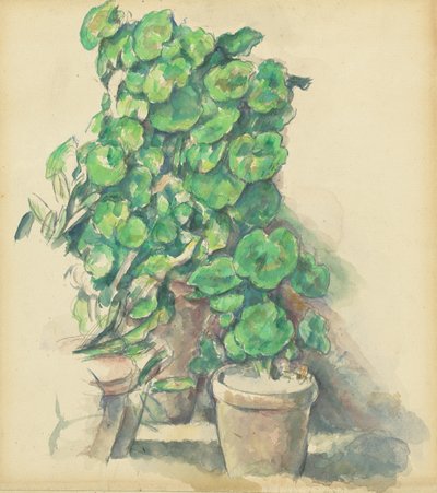 Geranien, 1888-1890 von Paul Cézanne