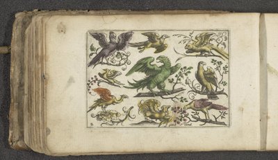 Raubvogel und zehn andere Vögel von Paul Göttich