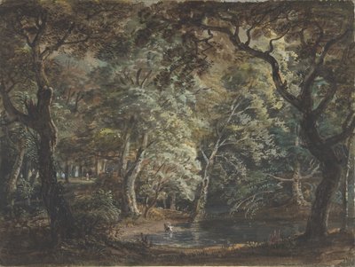 Windsor Great Park, 1790-99 von Paul Sandby
