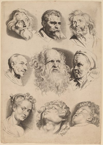 Neun Köpfe von Paulus Pontius after Sir Peter Paul Rubens