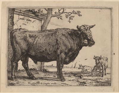 Stier von Paulus Potter