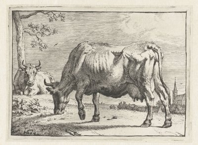 Weidende Kuh von Paulus Potter