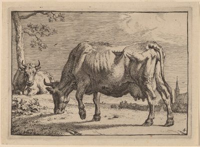 Weidende Kuh von Paulus Potter