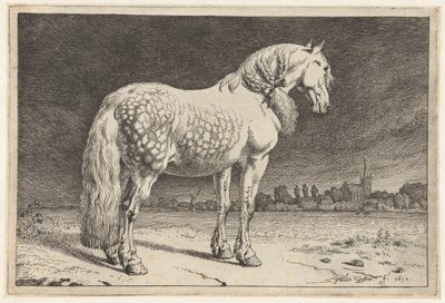 Das friesische Pferd Pferde (Serientitel) von Paulus Potter