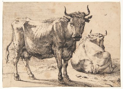 Stehende und liegende Kuh von Paulus Potter