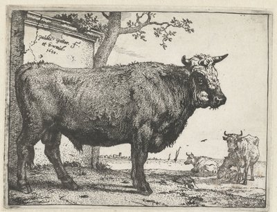 Stier von Paulus Potter