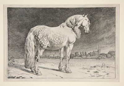 Das Friesische Pferd von Paulus Potter