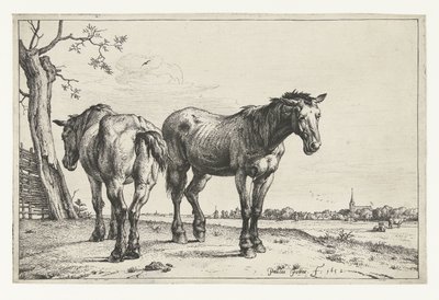 Zwei Pflugpferde (Paarden) von Paulus Potter