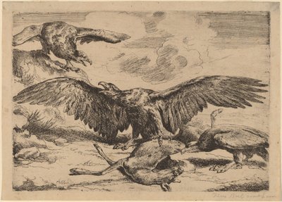 Adler von Peeter Boel