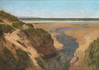 Croyde Sands, Sommerzeit von Peregrine Mulvogue Feeney