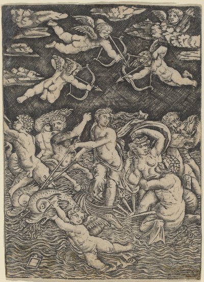 Der Triumph der Galatea von Peregrino da Cesena