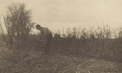 Fechten in Suffolk von Peter Henry Emerson