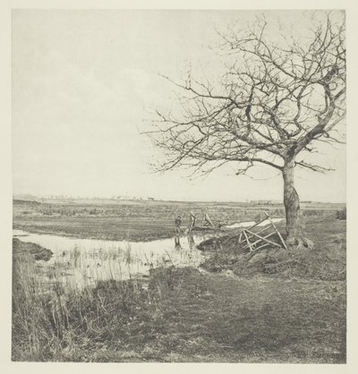 Kahler März (Suffolk) von Peter Henry Emerson