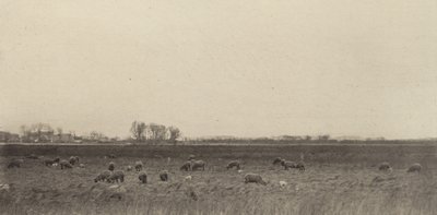 Marschland an der Nordsee von Peter Henry Emerson