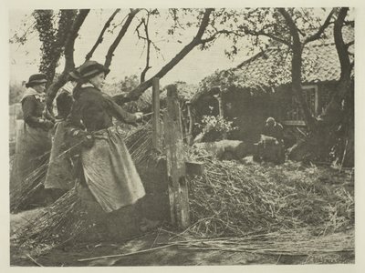 Weidenrinden-Schälen (Norfolk) von Peter Henry Emerson