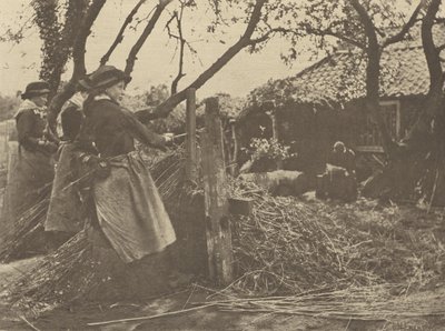 Weidenruten-Schälen. [Norfolk.] von Peter Henry Emerson