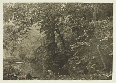 „Pike Pool“ (von unten) von Peter Henry Emerson