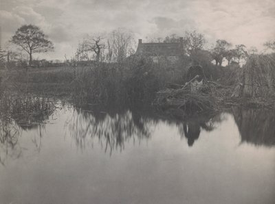 Quanting the Gladdon von Peter Henry Emerson