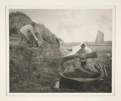 Schilf stapeln von Peter Henry Emerson