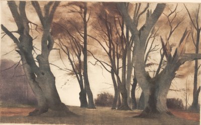 Buchen in Ermelunden von Peter Vilhelm Ilsted