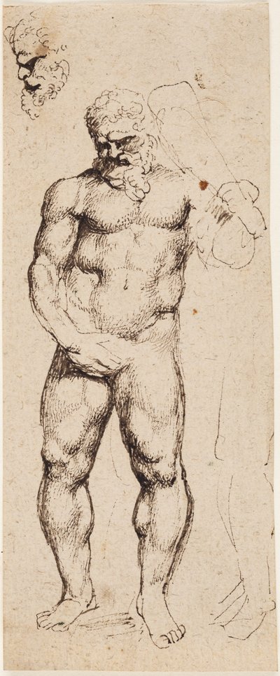 Herkules von Peter Paul Rubens