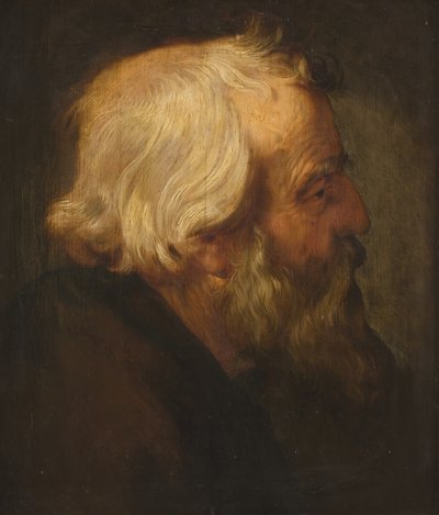 Der Apostel Petrus von Peter Paul Rubens