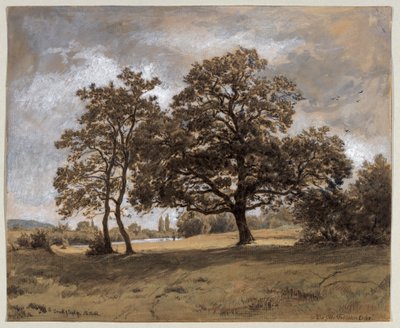 Die Otto-Fröhlicher-Eiche von Philipp Röth